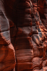 Desert Varnish One Fins of Orange Rocks