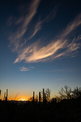 Dramatic Whisps of Clouds Over Sunset and Cactus Silhouettes