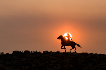 Silhouette of a cowboy riding a horse on a hill full of sagebrush with the sun centered behind