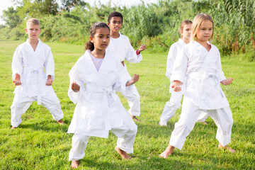 Naklejka na ściany i meble Multiracial group of concentrated preteen children practicing karate movements during outdoors group class in summer park on sunny day