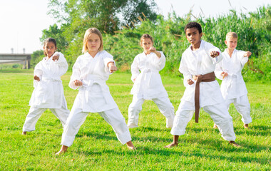 Naklejka na ściany i meble Focused tweenagers of different nationalities learning new karate moves during group class on green lawn in courtyard of sports school in summer
