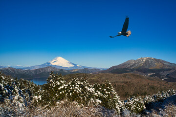 Obraz premium 箱根・大観山より厳冬期の富士山