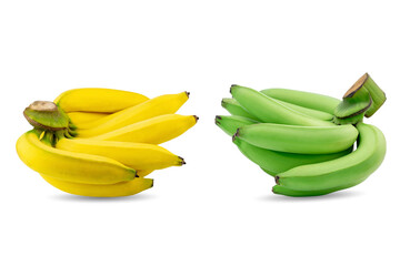 Group of green and yellow bananas in a same branch isolated on white background.