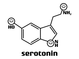 セトロニン分子のベクトル図_モノクロ