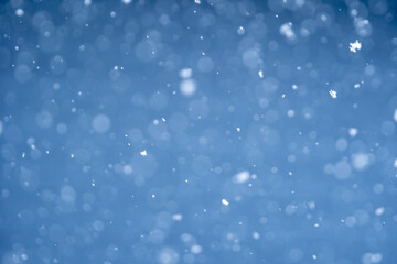Obraz premium 降雪 雪のイメージ