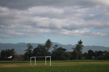 clouds on the field