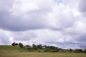 Obraz premium Carretera Union de Tula Ejutla Jalisco 