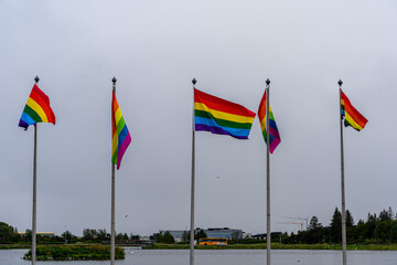Obraz premium View of the Pride Flags waving in the air their colorful colores in the Iceland