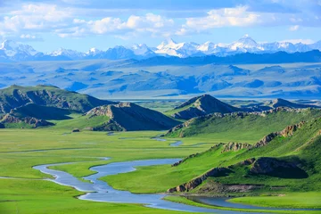 Foto op Canvas Bayinbuluke grassland natural scenery in Xinjiang,China.Beautiful grassland and mountain landscape. © ABCDstock