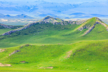 Green grassland and mountain natural landscape in Xinjiang,China.Beautiful prairie scenery.