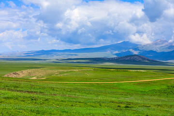 Fototapeta premium Green grassland natural scenery in Xinjiang,China.Wide grassland and blue sky with white clouds landscape.