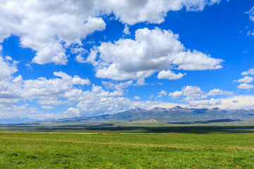 Green grassland natural scenery in Xinjiang,China.Wide grassland and blue sky with white clouds landscape.