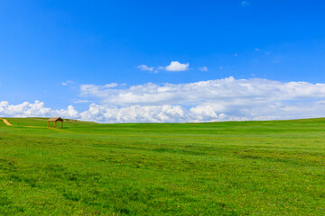 Green grassland natural scenery in Xinjiang,China.Wide grassland and blue sky with white clouds landscape.