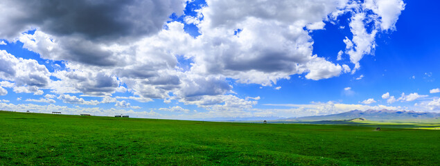 Obraz na płótnie Canvas Green grassland natural scenery in Xinjiang,China.Wide grassland and blue sky with white clouds landscape.panoramic view.