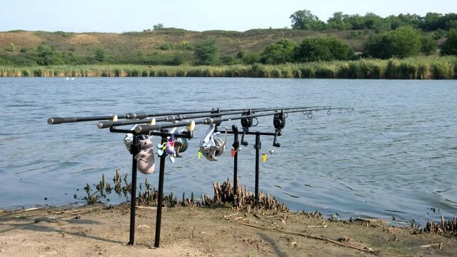 Carp fishing rods with carp bite indicators and reels set up on rod pod on a background of lake or river and nature. Rod pod, bite alarms, swinger, signaling devices. Fishing background