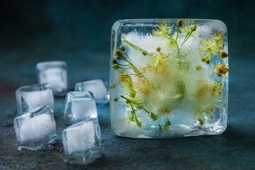Frozen fresh aroma  linden flowers  and air bubbles in the ice cube