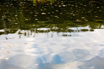 Abstract reflections on water with autumn leaves