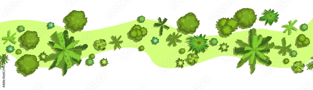 Wall mural jungle forest top view. horizontal seamless composition. overgrown pretty rainforest. isolated on a 