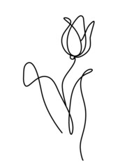 Abstract line drawing flower, isolated on white background. Vector