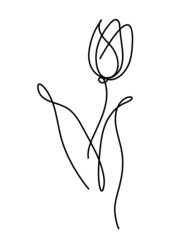 Abstract line drawing flower, isolated on white background. Vector