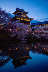 郡山城跡の夜桜　縦位置
