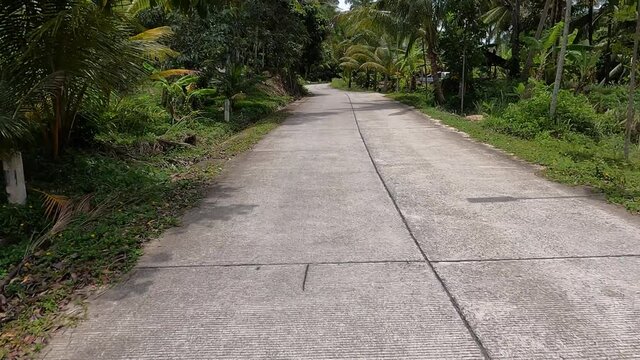 Motorcycle driving - point of view from the driver - Go Pro mountet angle on helmet - on jungle road in Thailand