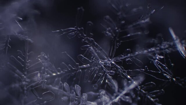Snowflake. Water crystal close-up. The play of light and shadow of snow under a microscope