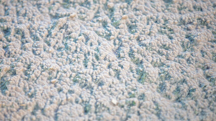 Crumbly white sand on the beach.