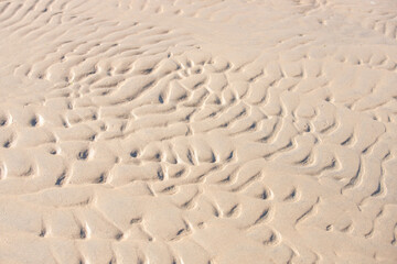 A chaotic pattern on the sand formed by the water tide and wind.