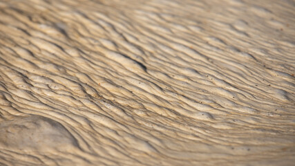 Lumps of foam on the seashore.