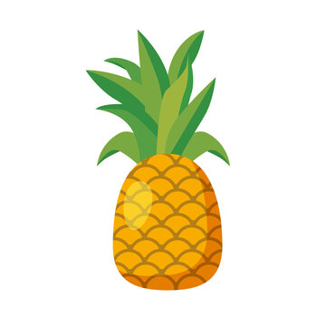 Pineapple whole fruit exotical fresh. Summer tropical healthy food. Vector illustration cartoon