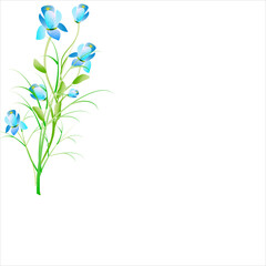 beautiful flowers