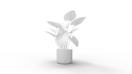 3D rendering of a exotic household houseplant isolated on studio background.