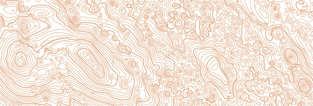 Abstract vector topographic map on white background