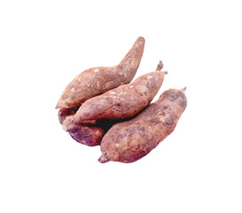 Organic Smallanthus sonchifolius or  Yacon roots isolated on white background , clipping path