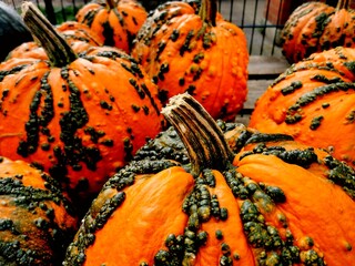 Pumpkins
