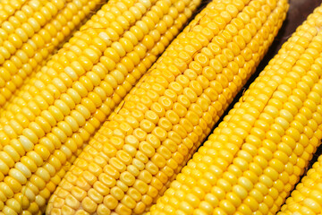 Sweet yellow corn lies on a wooden table.