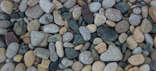 Natural abstract background. Coarse sea gravel. Dark oval stones. Colorful pebble beach.