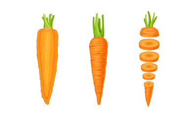 Sliced Vertical Carrot as Orange Root Vegetable Vector Set - obrazy, fototapety, plakaty