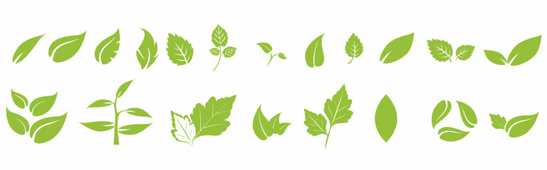 Leaf icons set ecology nature element, green leafs, environment and nature eco sign. Leaves on white background – vector