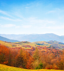 Colorful mountain landscape in sunny autumn day, Carpathian Mountains, Zakarpattia Oblast, Ukraine.