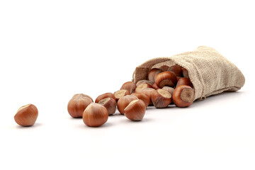 fresh hazelnuts in a canvas bag on white background