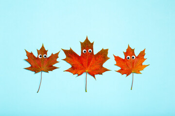 Autumn leaves creative idea concept. Red-yellow maple autumn leaves with funny eyes. Creativity and crafts for children