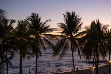 Fototapeta na wymiar Palm trees at evening sunset in tropical resort
