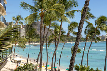 Waikiki beach palm trees and Diamond Head tropical resort