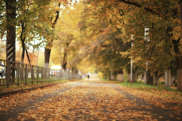 sunny landscape in fall park, autumn season background orange park