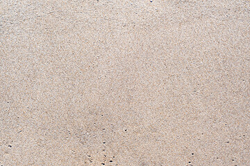 White sandy beach background of the sea