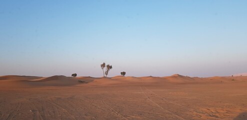 Fototapeta na wymiar in the desert route