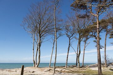 Fototapeta na wymiar Baltic Sea Day At The Beach