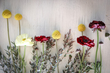 Flat lay image featuring Billy Button and Rununculas flowers on white background